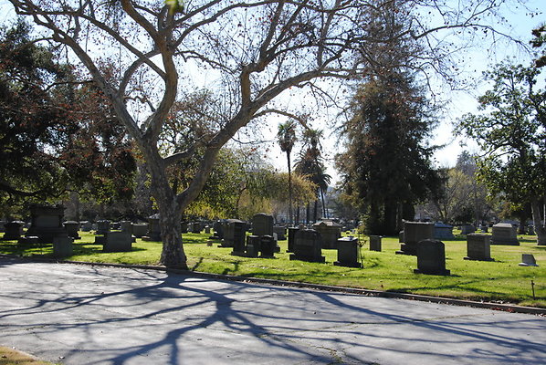 DSC 0498