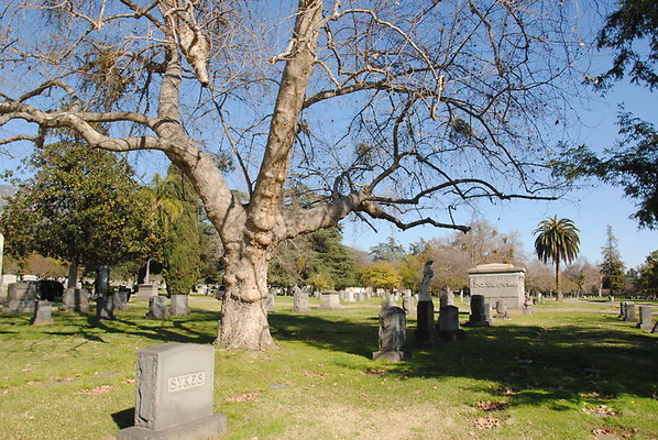 DSC 0516