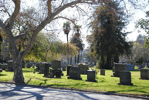 DSC 0499