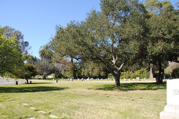 DSC 0395