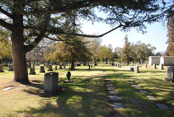 DSC 0493