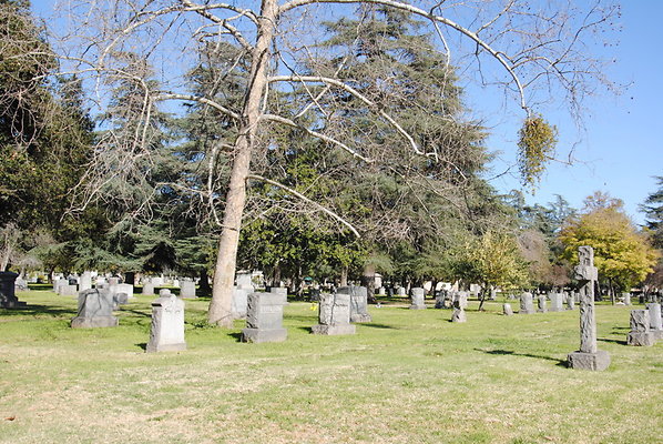 DSC 0501