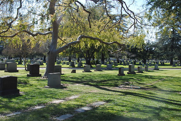 DSC 0436