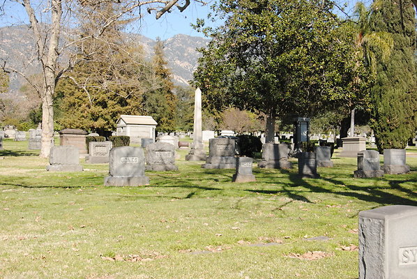 DSC 0515