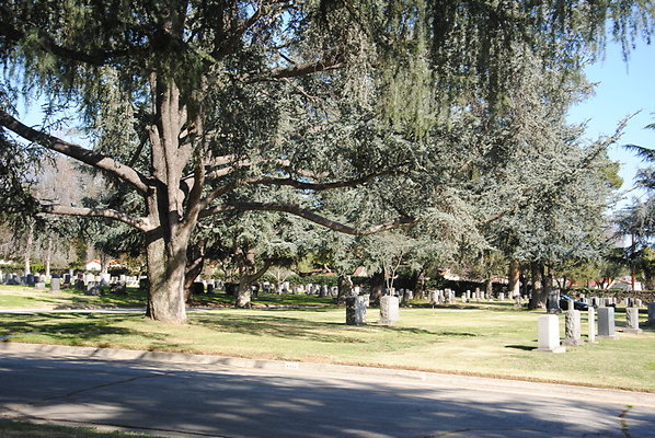 DSC 0476