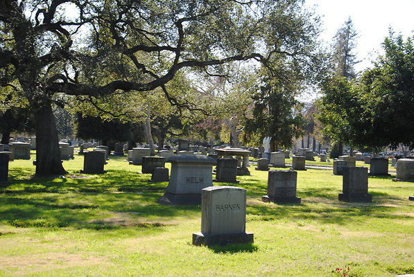 DSC 0384