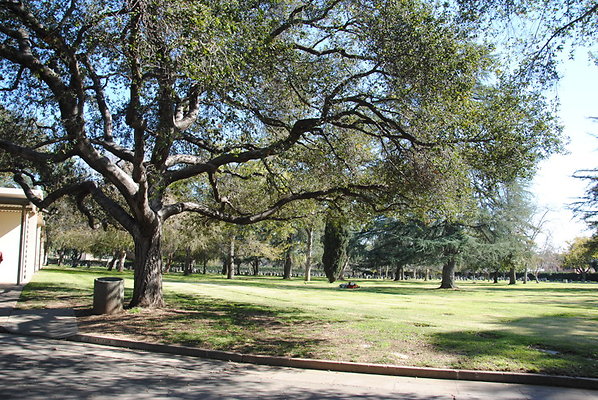 DSC 0415