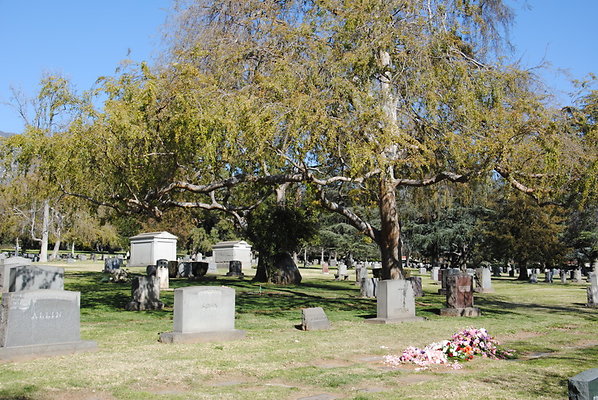 DSC 0409