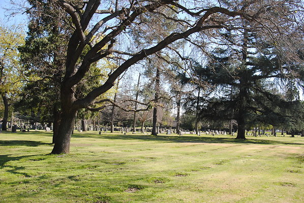 DSC 0351