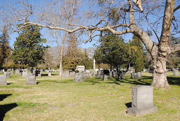DSC 0514