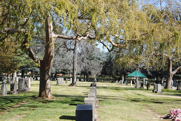 DSC 0408