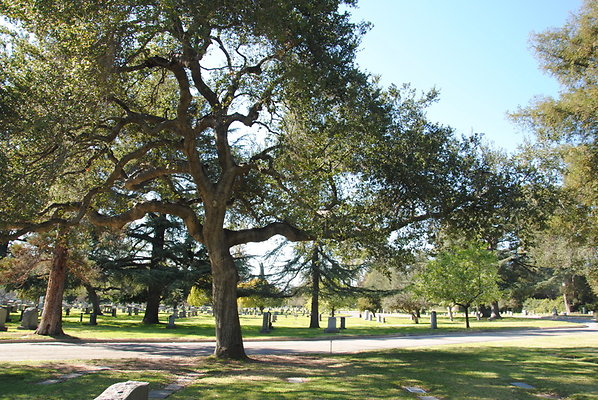 DSC 0459