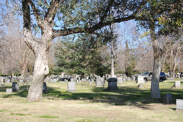 DSC 0537