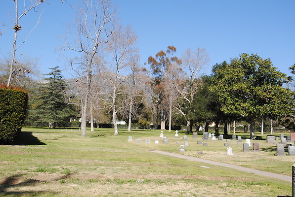 DSC 0396