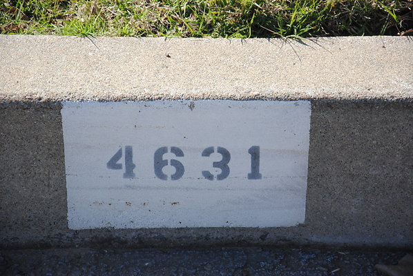 DSC 0503