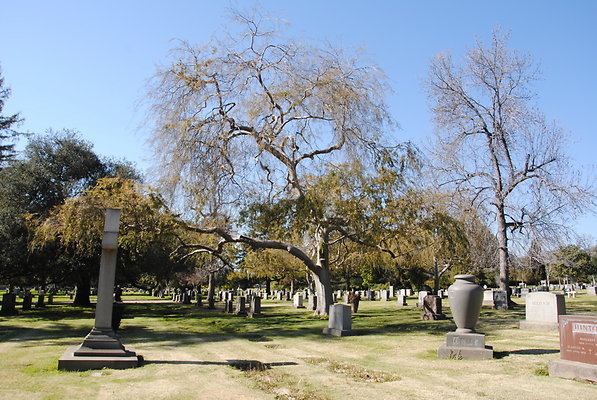 DSC 0420