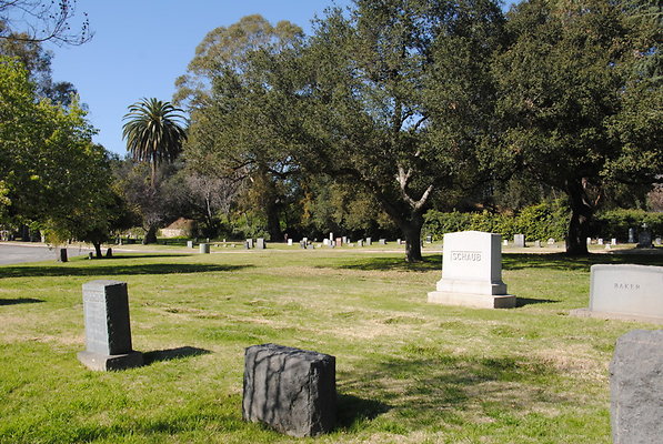 DSC 0390