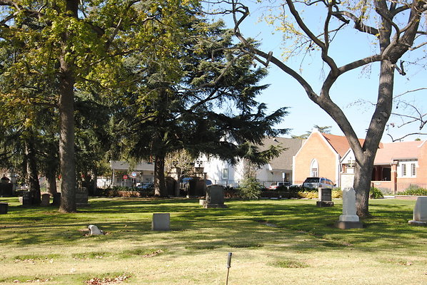 DSC 0325