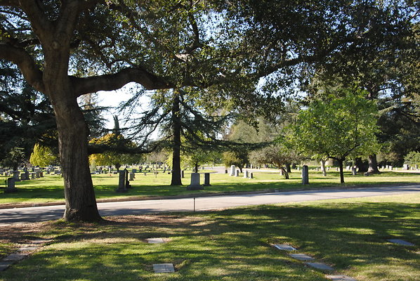 DSC 0460
