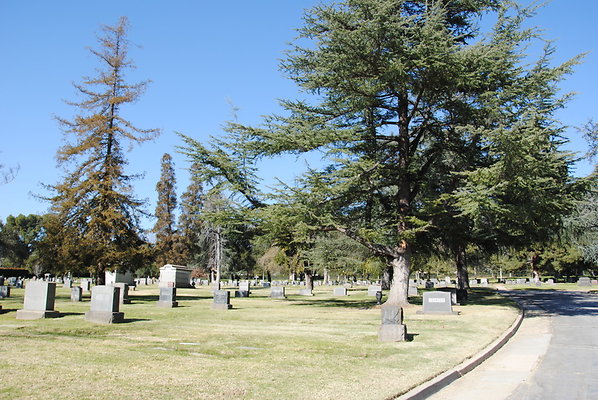 DSC 0427