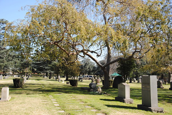 DSC 0461