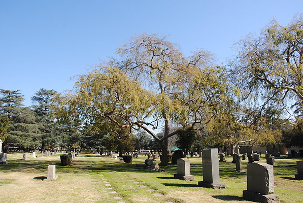 DSC 0463