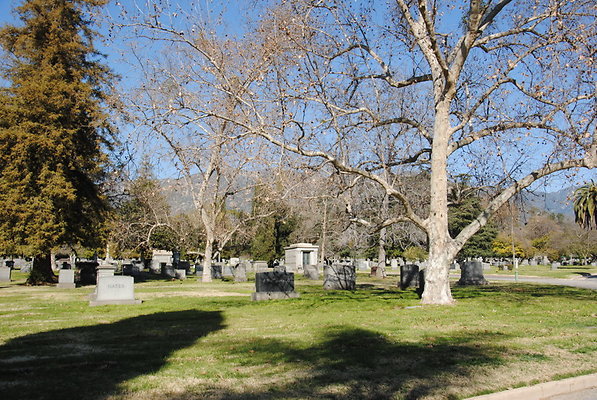 DSC 0529