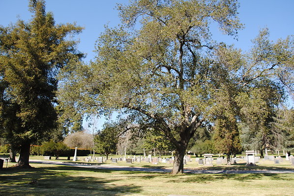 DSC 0456