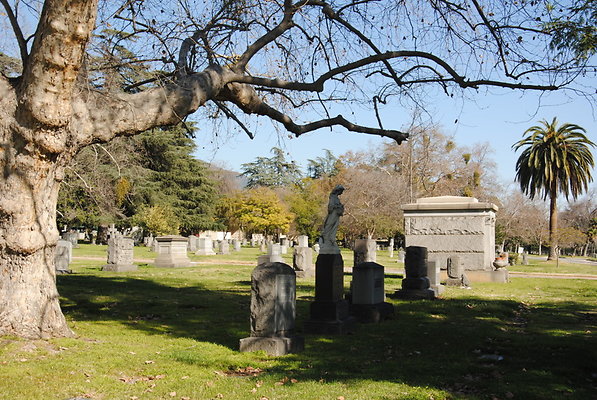 DSC 0517