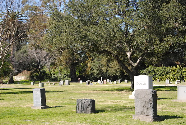 DSC 0388