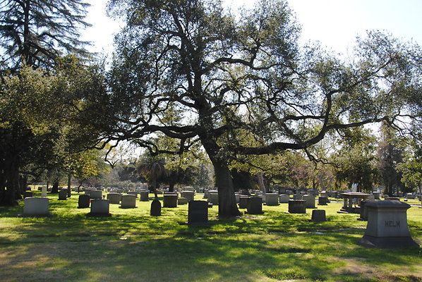 DSC 0385