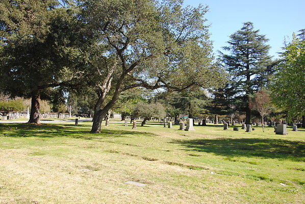 DSC 0371