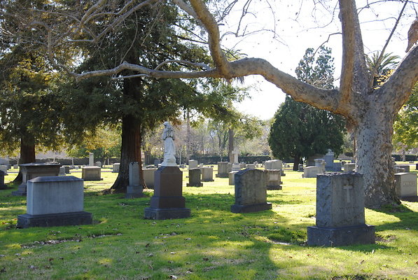 DSC 0509