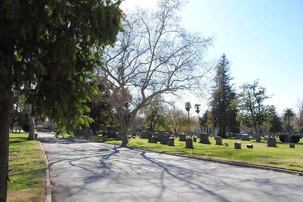 DSC 0496