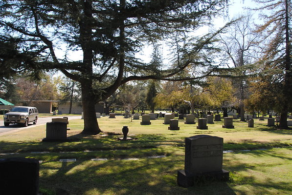 DSC 0481