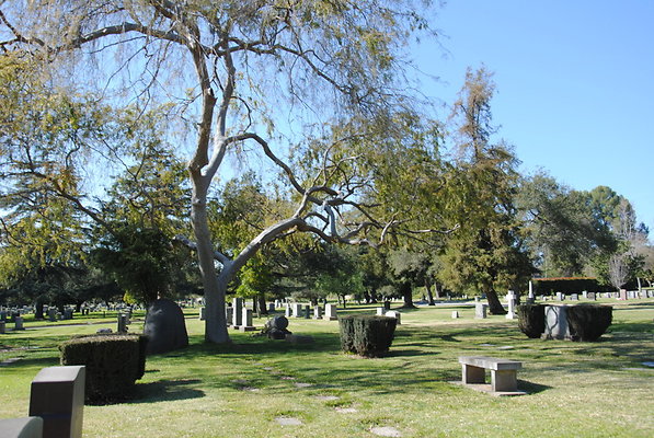 DSC 0433