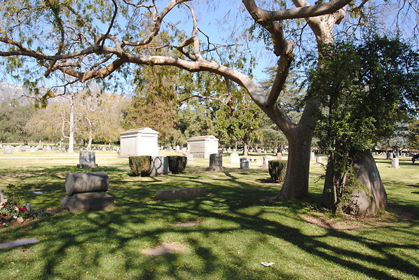 DSC 0446