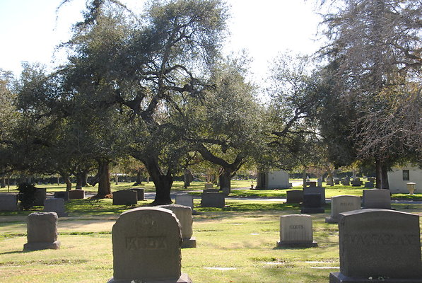 DSC 0445