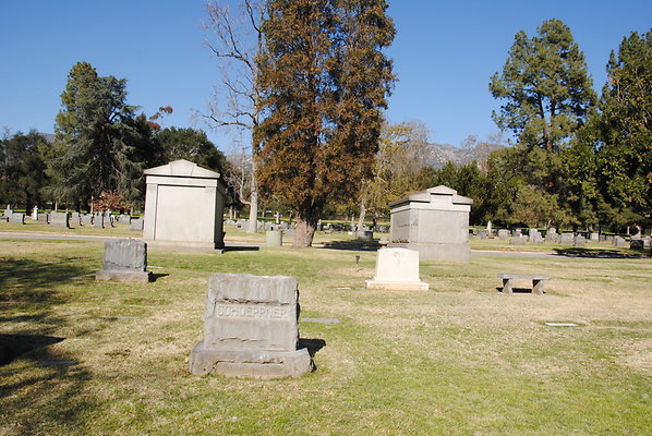 DSC 0469