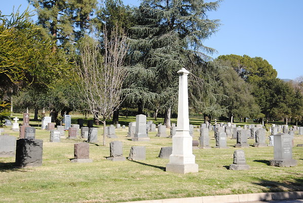 DSC 0397
