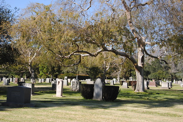 DSC 0417