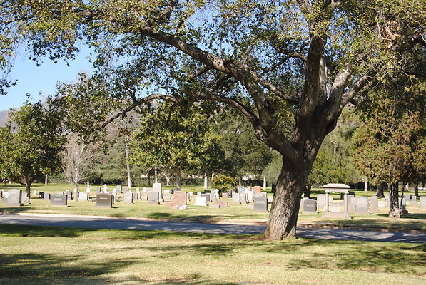 DSC 0457