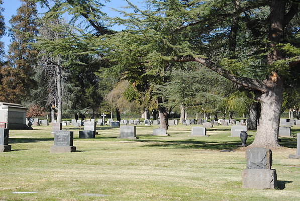 DSC 0428