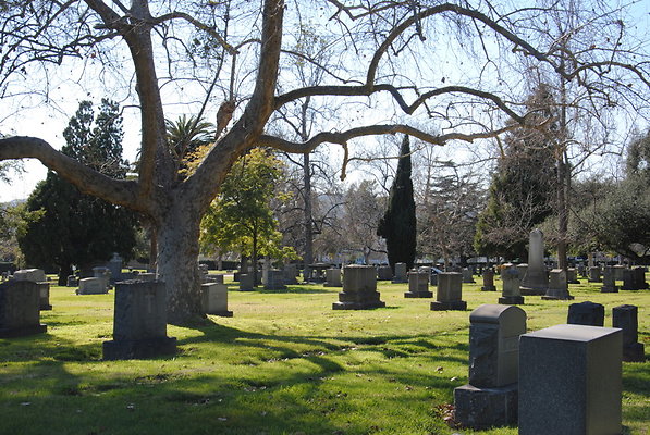 DSC 0508