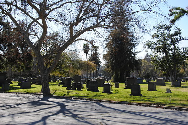 DSC 0500