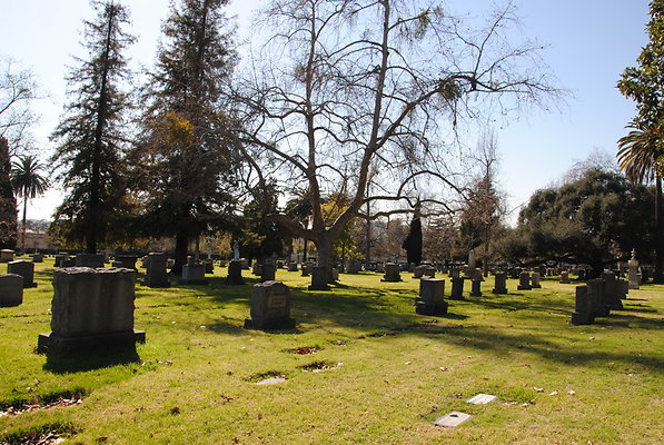 DSC 0504