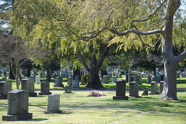 DSC 0431