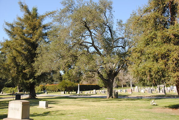 DSC 0452