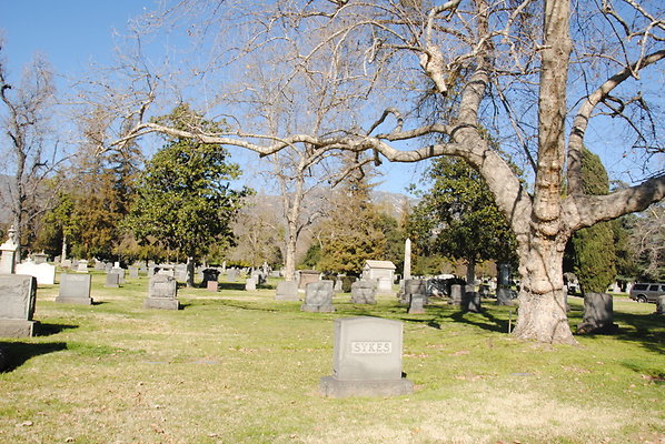 DSC 0518