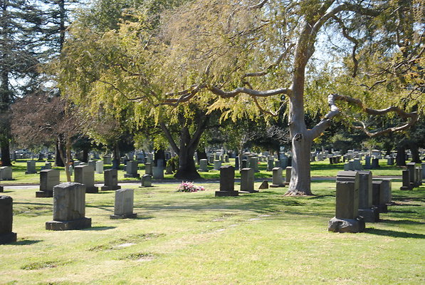DSC 0430